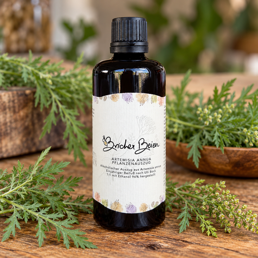 Artemisia Annua Pflanzenauszug 1:1 - 100ml
